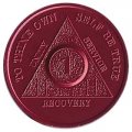 Aluminium Anniversary Chips