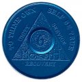 Aluminium Anniversary Chips