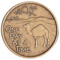 (image for) Bronze Month Anniversary Medallion